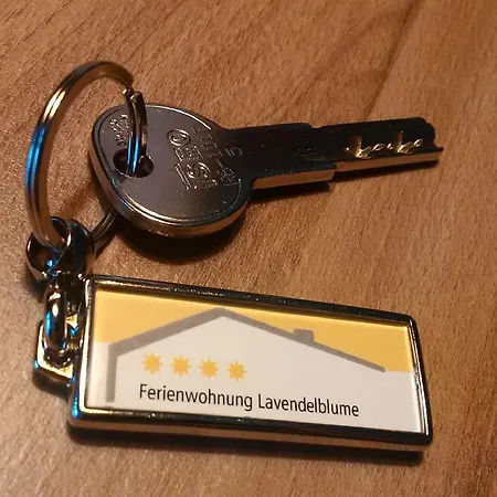 Lavendelblume - #21941 Apartment Zingst